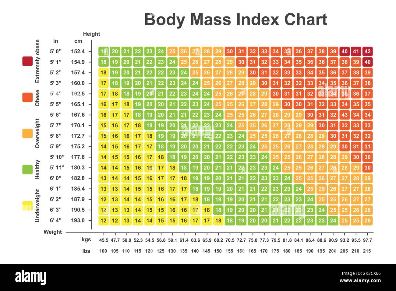 Body Mass Index BMI Chart BMI Calculator To Checking Your Body Mass Body Mass Index BMI Chart BMI Calculator To Checking Your Body Mass