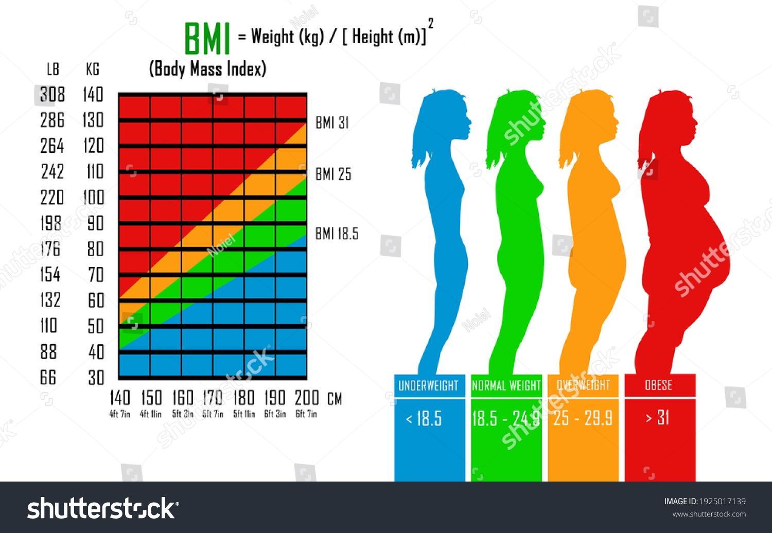 Body Mass Index Bmi Chart Libs Stock illustration 1925017139 Shutterstock