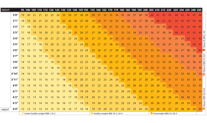 bmi chart obese