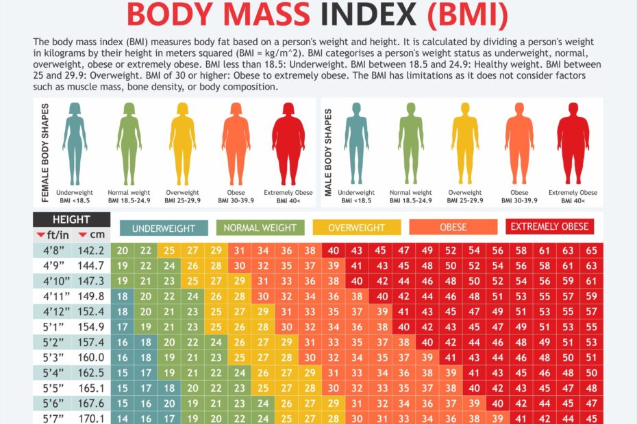 Body Mass Index Chart Digital Download PDF Height And Weight Body