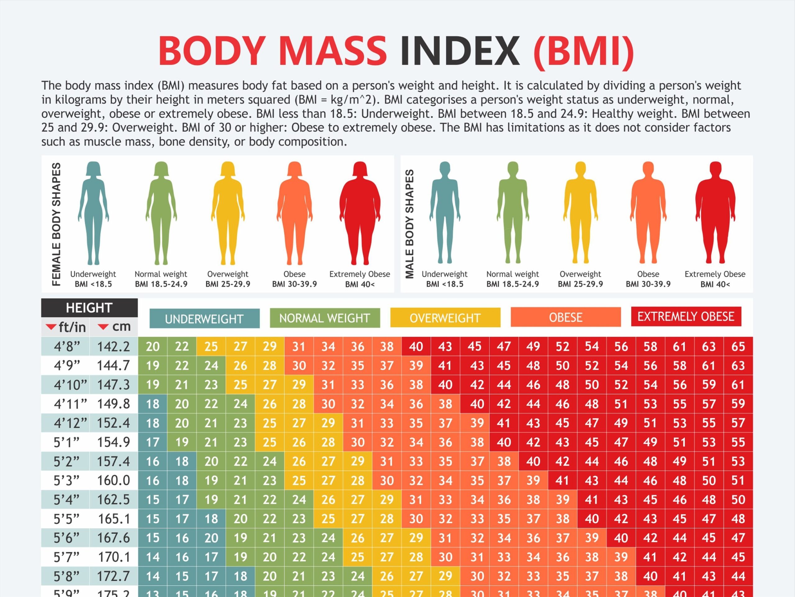 Body Mass Index Chart Digital Download PDF Height And Weight Body 