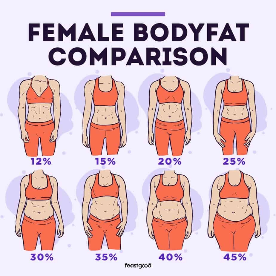Body Recomposition Calculator Lose Fat While Gaining Lean Muscle 