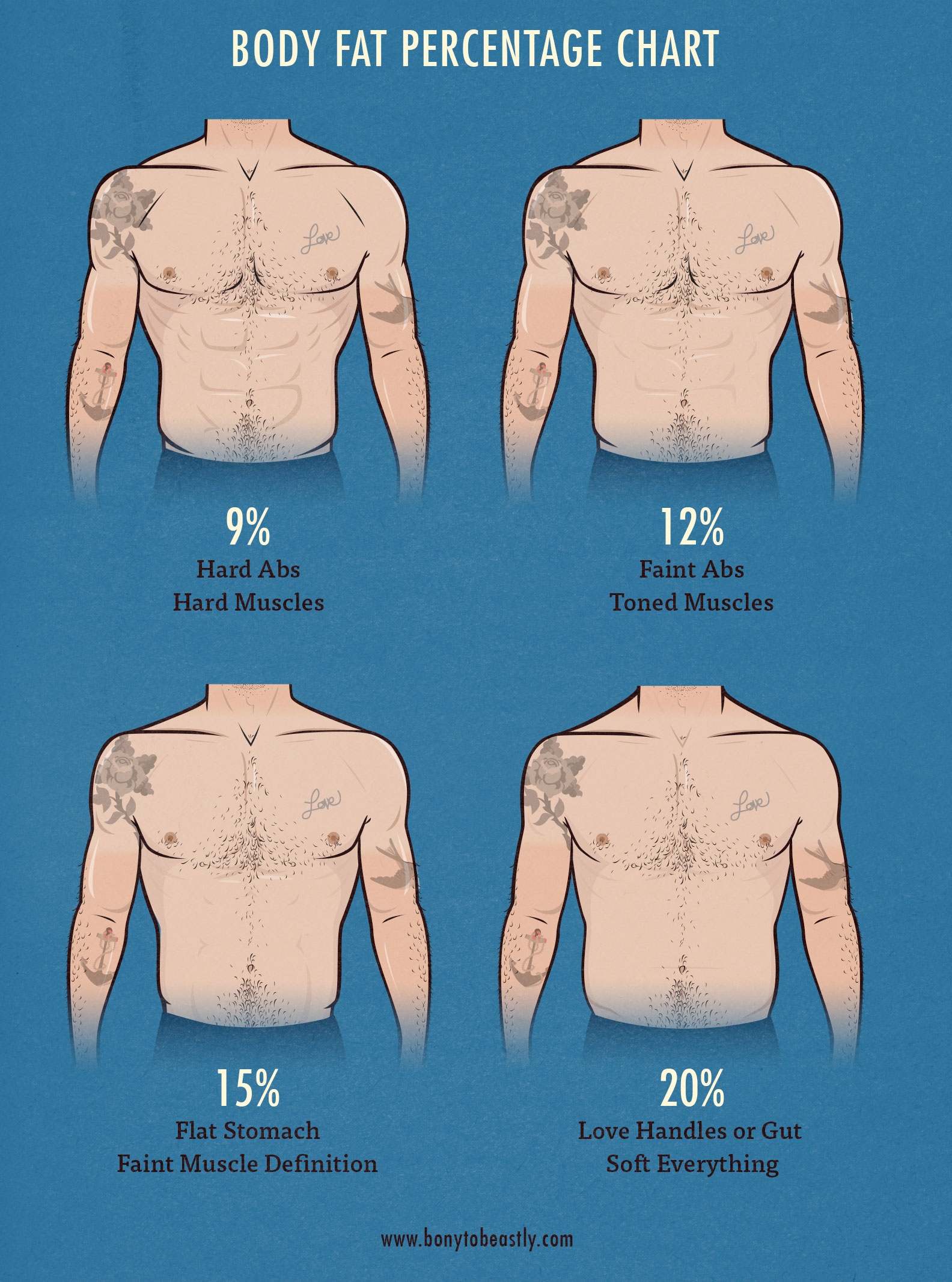 Bodyfat Percentage Chart Bony To Beastly the Ectomorph 39 s Guide To Body 
