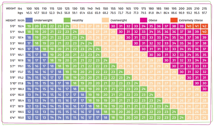 Bodyfat Percentage Chart Bony To Beastly the Ectomorph 39 s Guide To Body