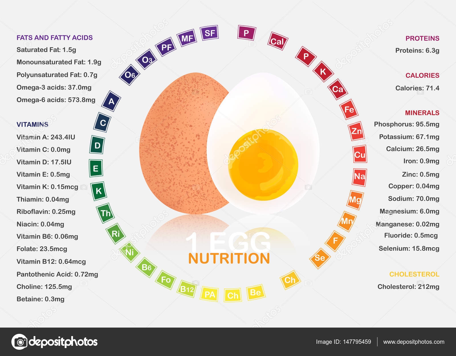 boiled egg nutrition chart boiled egg nutrition chart