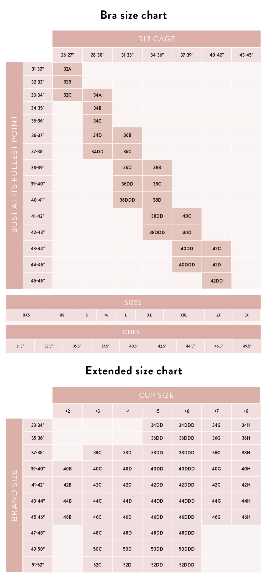 Bra Sizes Chart