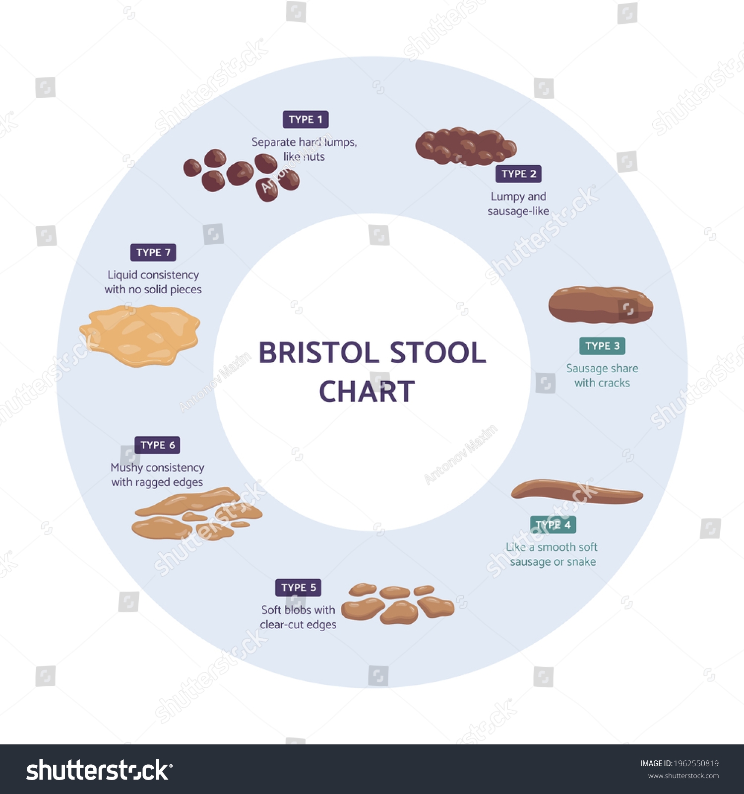 Bristol Stool Chart Citation