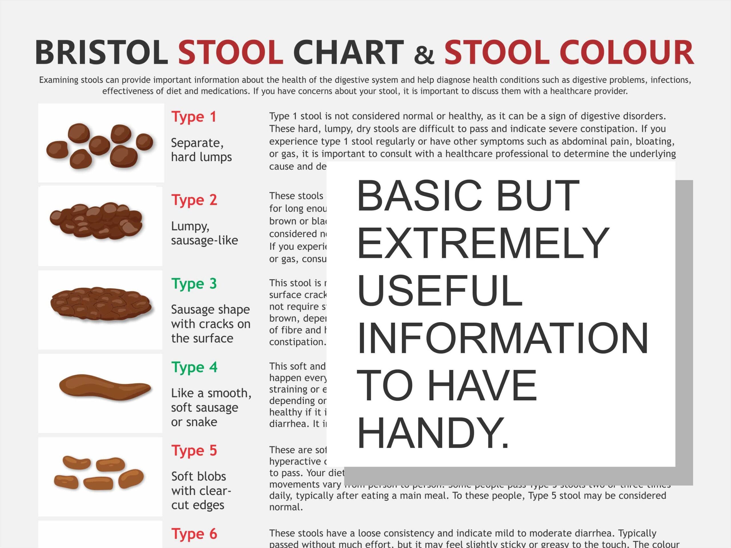 bristol chart bristol chart