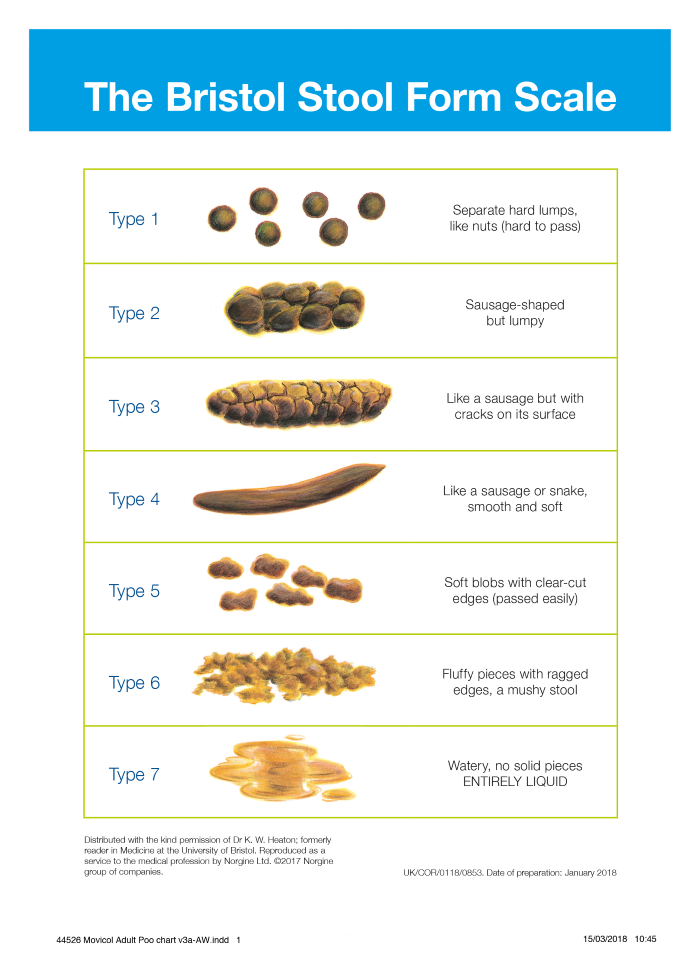 Bristol Stool Chart Faecal Continence Foundation Of Australia