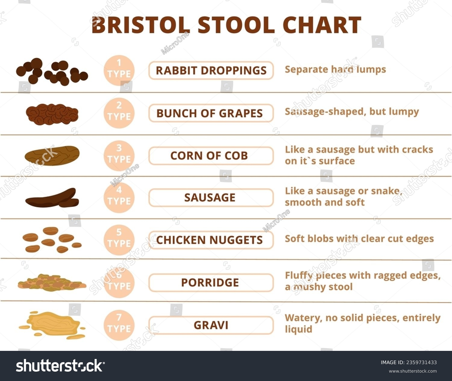 Bristol Stool Chart PDF Bristol Stool Chart Stool 60 OFF