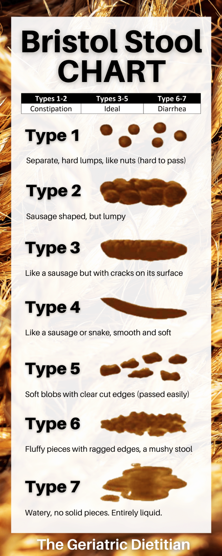 Bristol Stool Chart PDF Free Download The Geriatric Dietitian