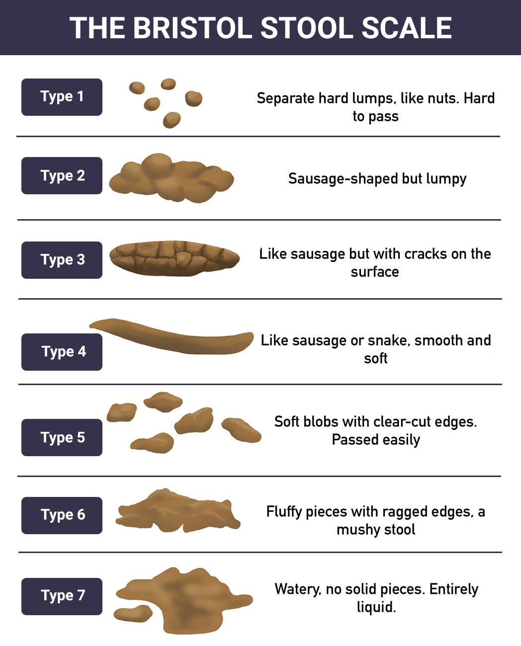 Bristol Stool Chart The Different Types Of Poop GoodRx 46 OFF