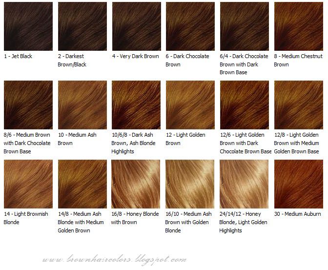 brown shades hair colour chart