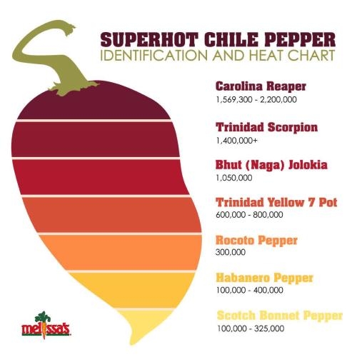 Carolina Reaper On The Scoville Scale At Connor Nicolay Blog