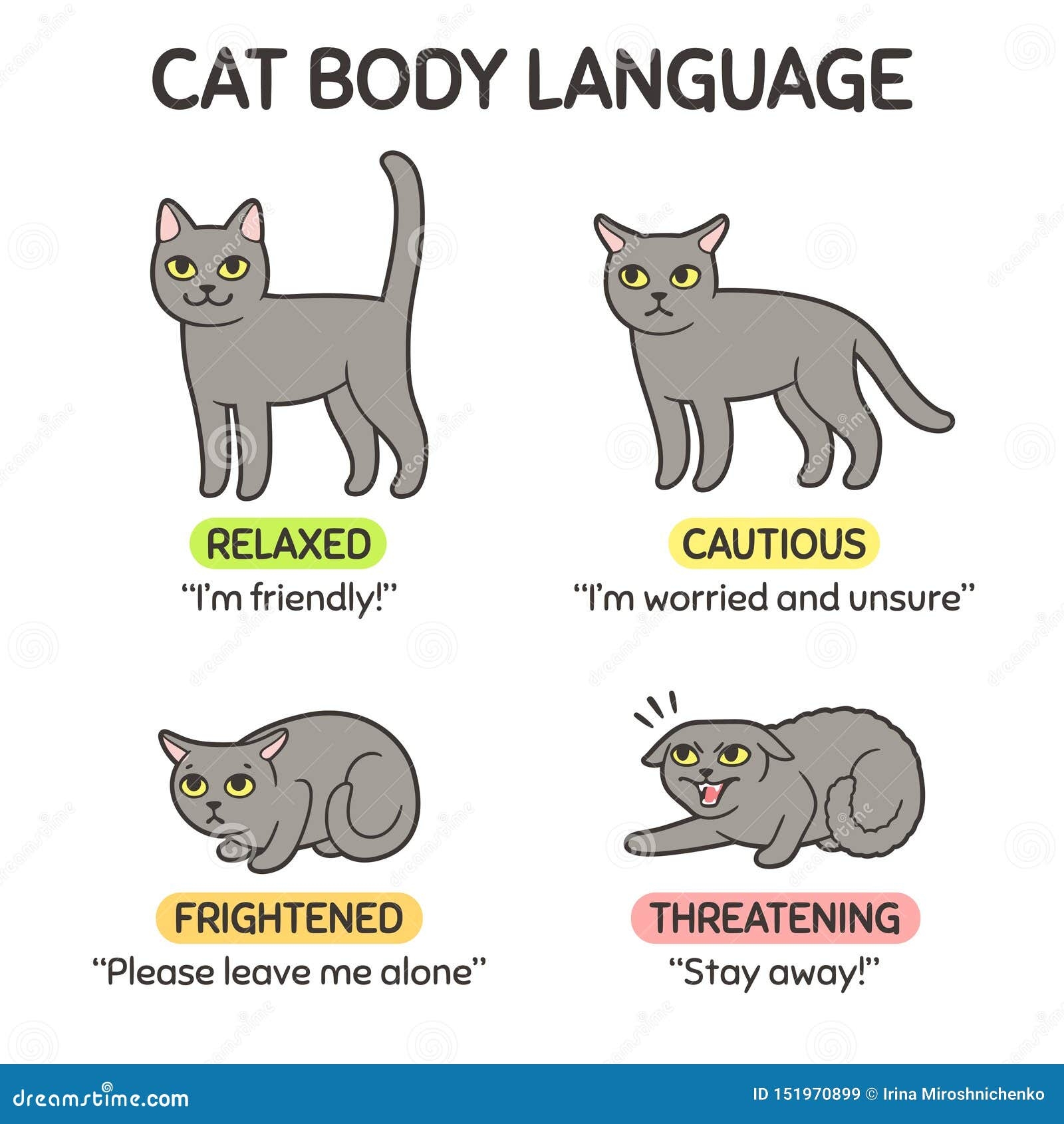 Cat Behavior Chart Ponasa