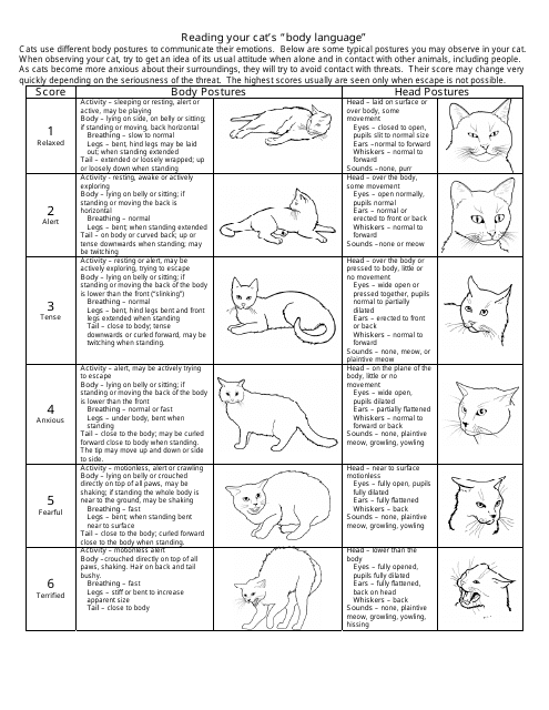 Cat Body Language Chart Reading Your Cat 39 s Mood Download Printable 