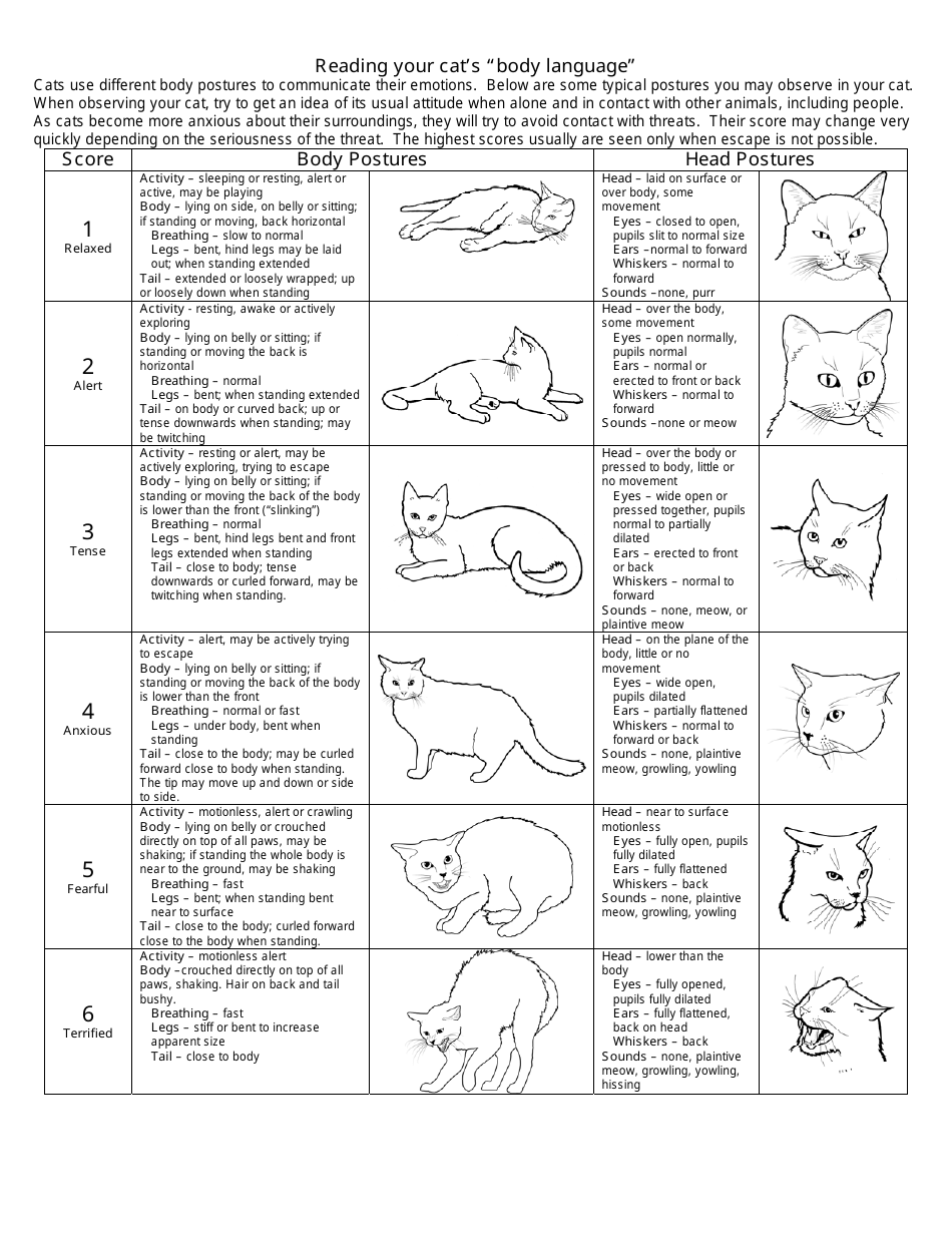 Cat Body Language Chart Reading Your Cat 39 s Mood Download Printable 