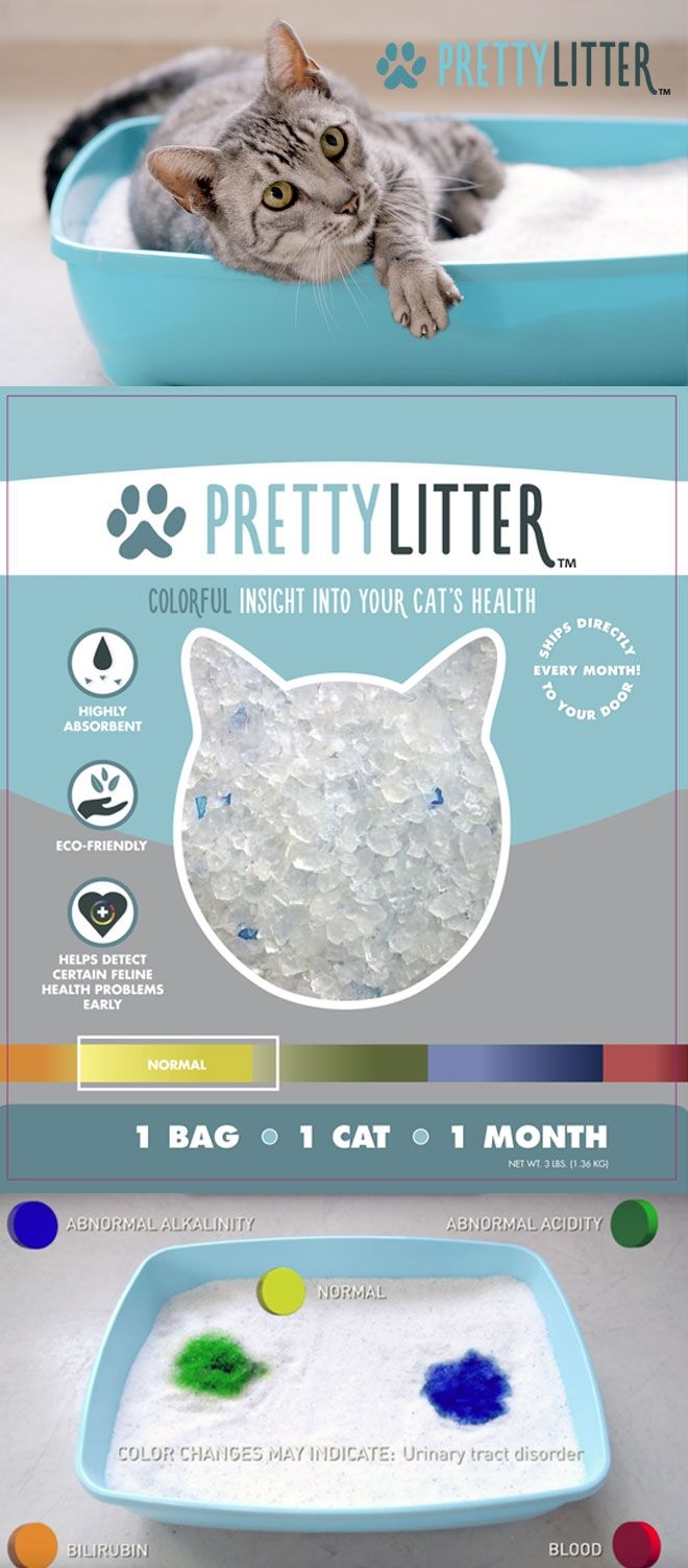 Cat Litter Chart