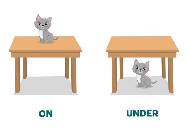 Cat On Under Table Over 153 Royalty Free Licensable Stock 