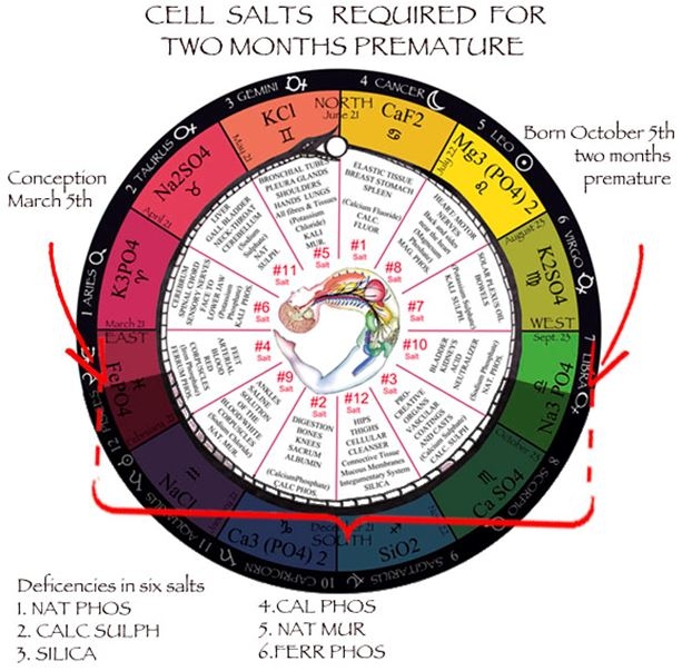 Cell Tissue Salts