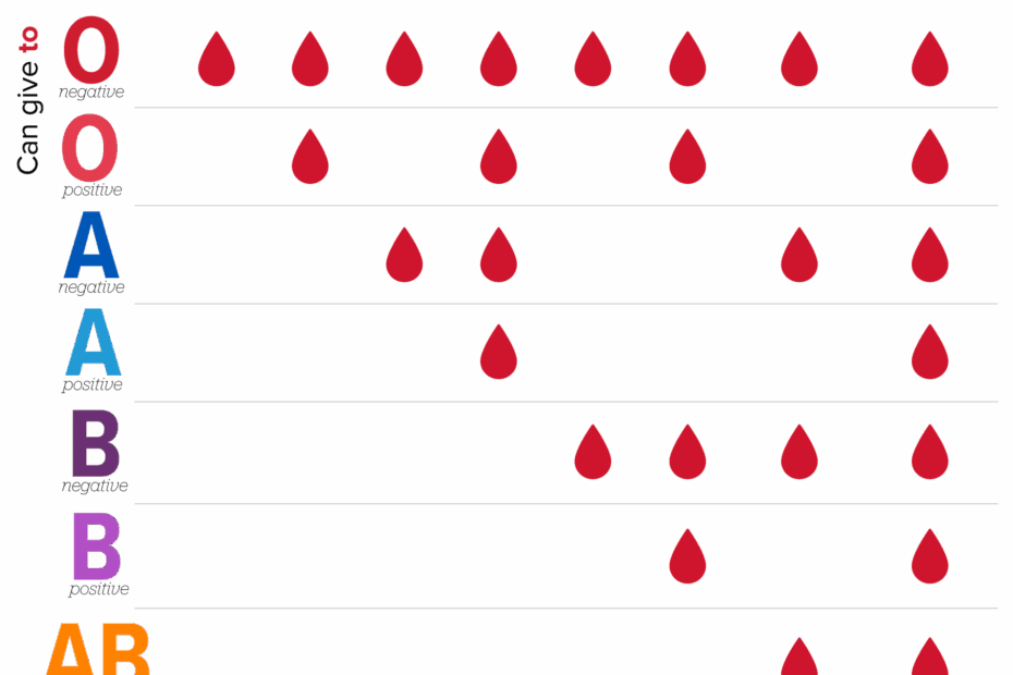 Chart Of Blood Types Free Printable Blood Charts