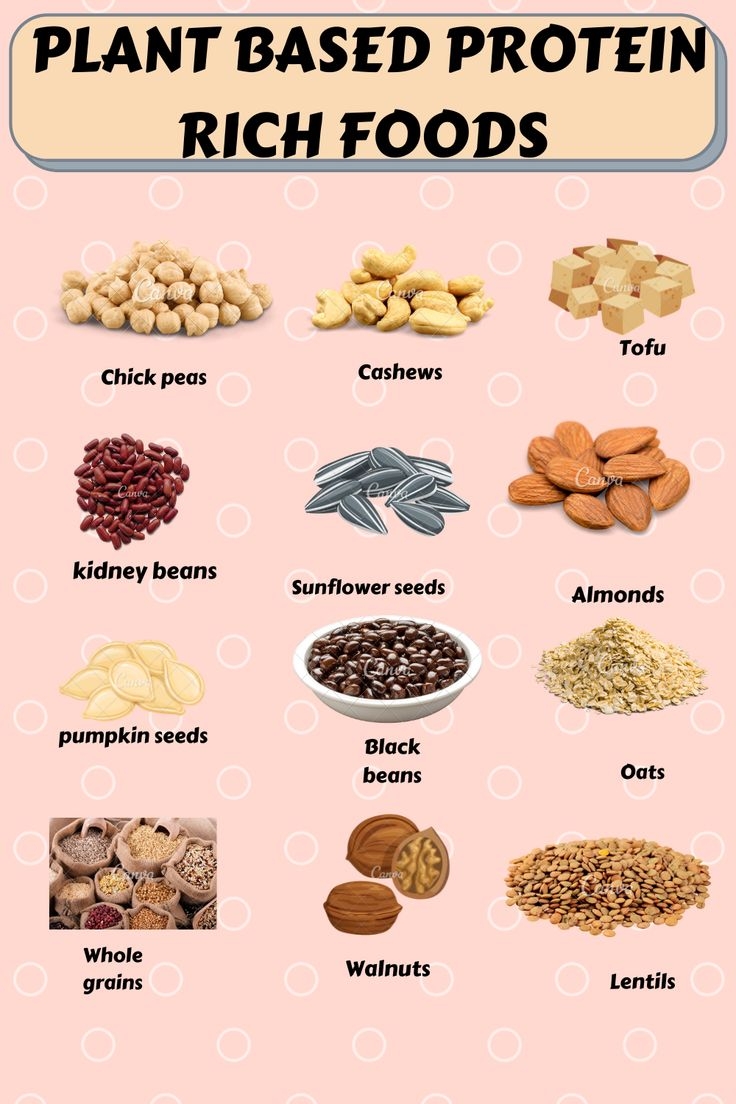 Chart Of Protein Rich Foods Protein Proteins Lebensmittel Ab
