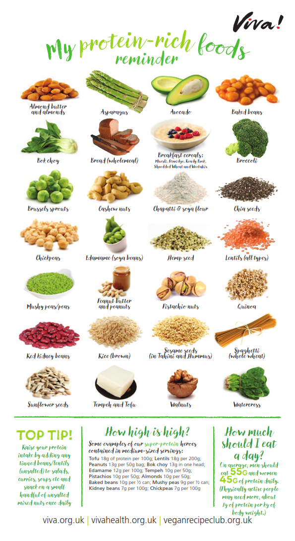 protein rich foods chart protein rich foods chart
