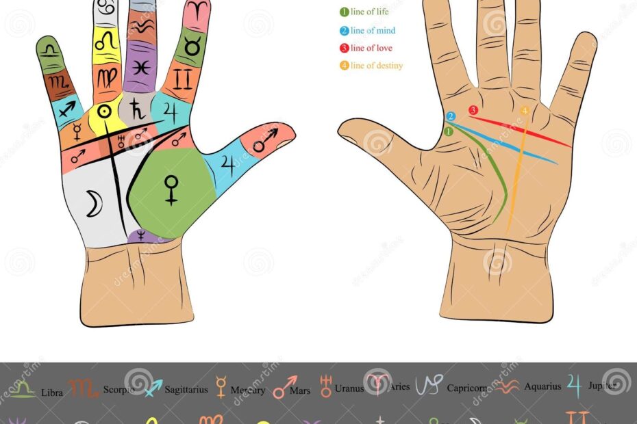 Chiromancy Chart Of The Palms Lines And Ways Vector Line Illustration
