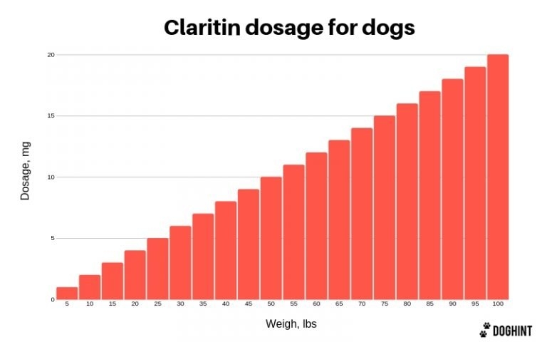 Claritin Dosage For Dogs Handy Chart Effects Included 