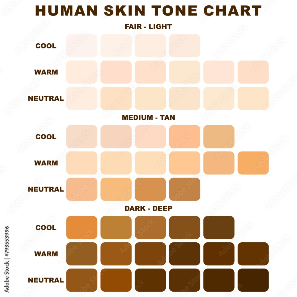 Collection Color Palette Chart Skin Tones Flat Illustration Skin 