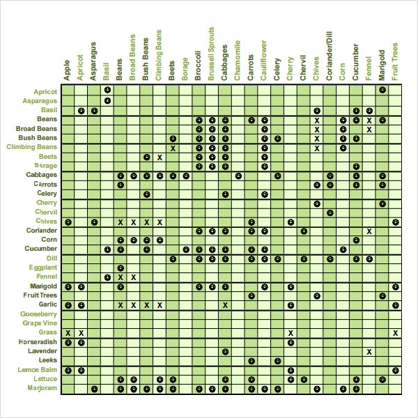 Companion Gardening Chart Ponasa