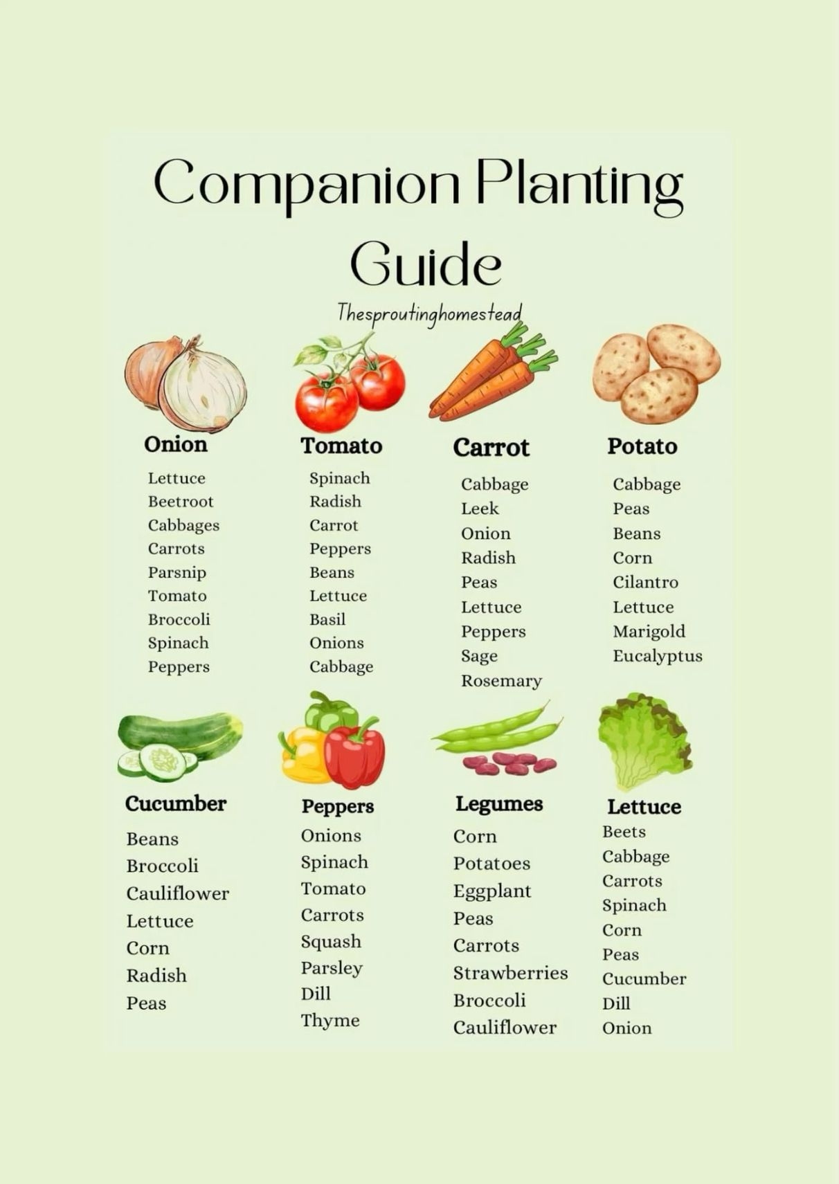 companion plant chart