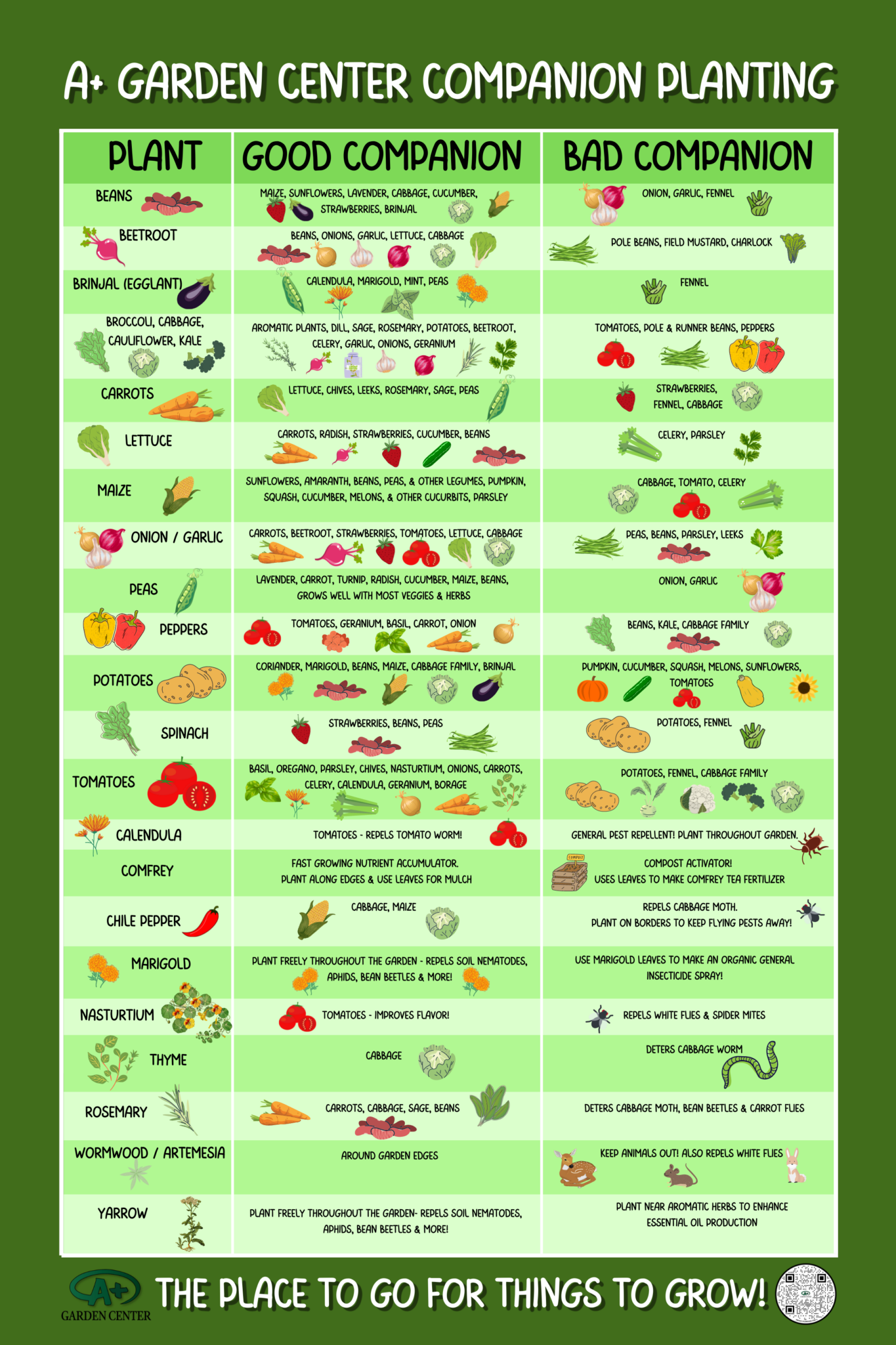 COMPANION PLANTING AND PLANT SPACING CHART A Garden Center Duluth 