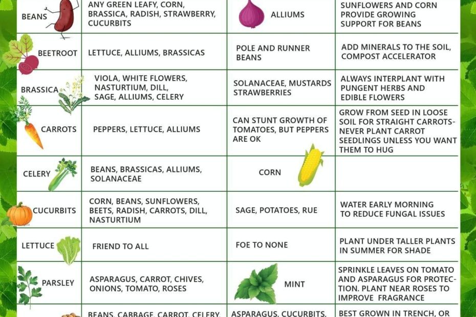 Companion Planting Guide Printable