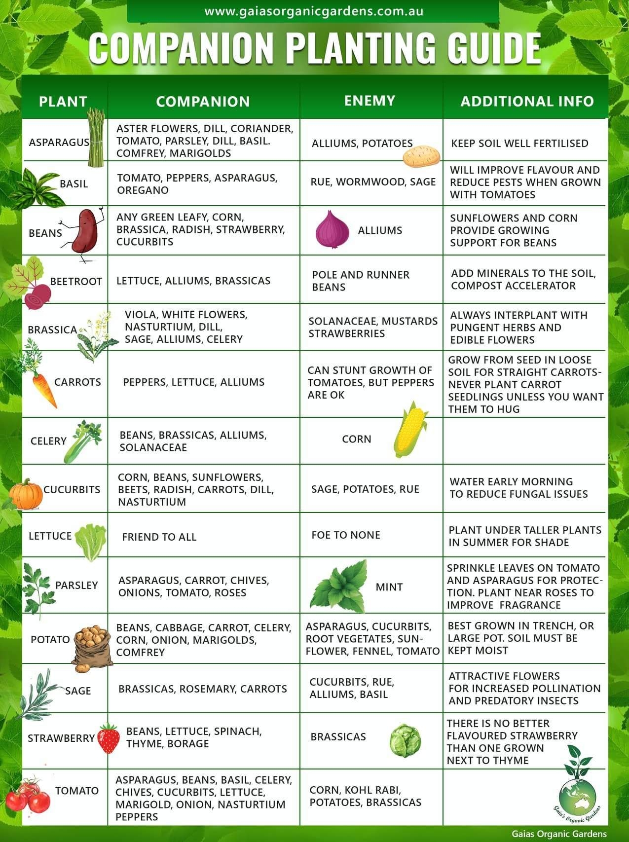 Companion Planting Guide Printable
