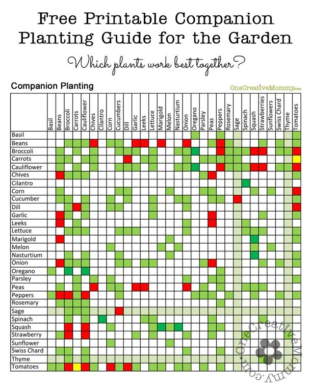 garden companion planting chart garden companion planting chart
