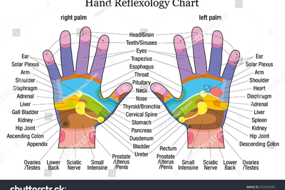 Complete Hand Chart Of Reflexology Simple Guide