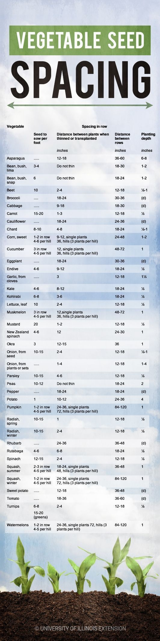Corn Plant Spacing Chart Quick Chart Maker