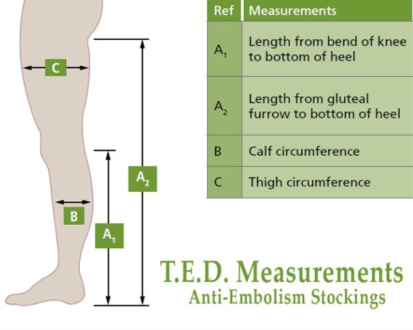 Covidien Ted Hose Size Chart A Visual Reference Of Charts Chart Master