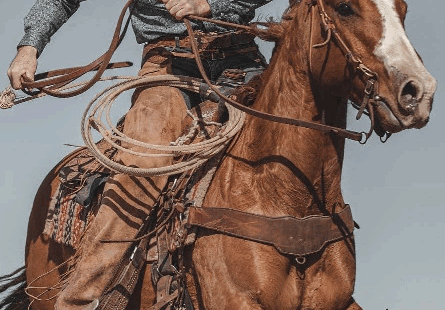 Cowboy Horse Cowboy Art Cowboy And Cowgirl Horse Riding Man On