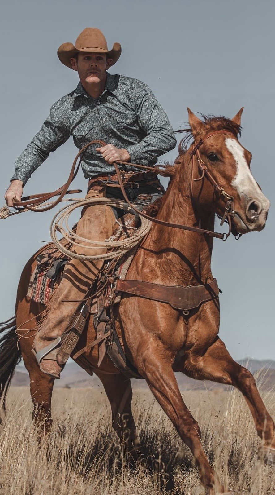 Cowboy Horse Cowboy Art Cowboy And Cowgirl Horse Riding Man On 