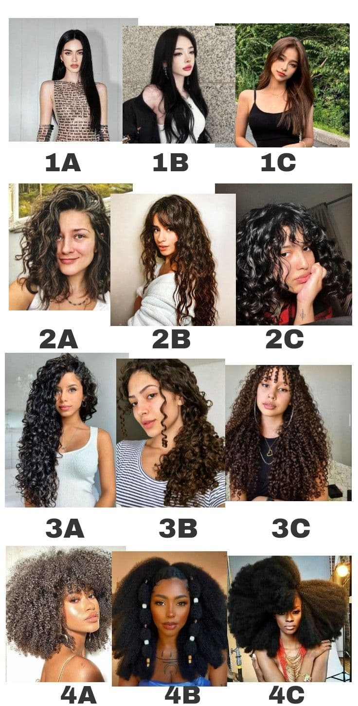 Curly Hair Length Chart Explained