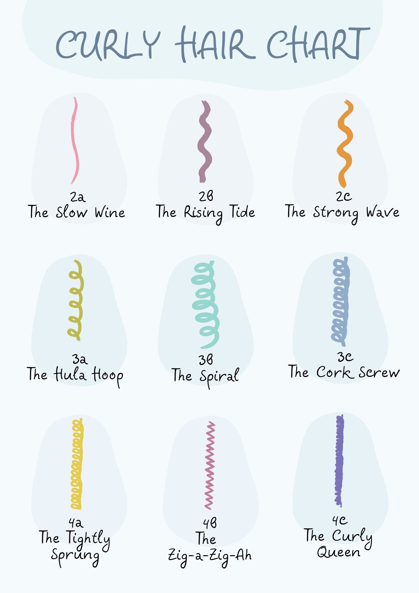 Curly Hair Type Chart Etsy Curly Hair Types Hair Chart Hair Type 