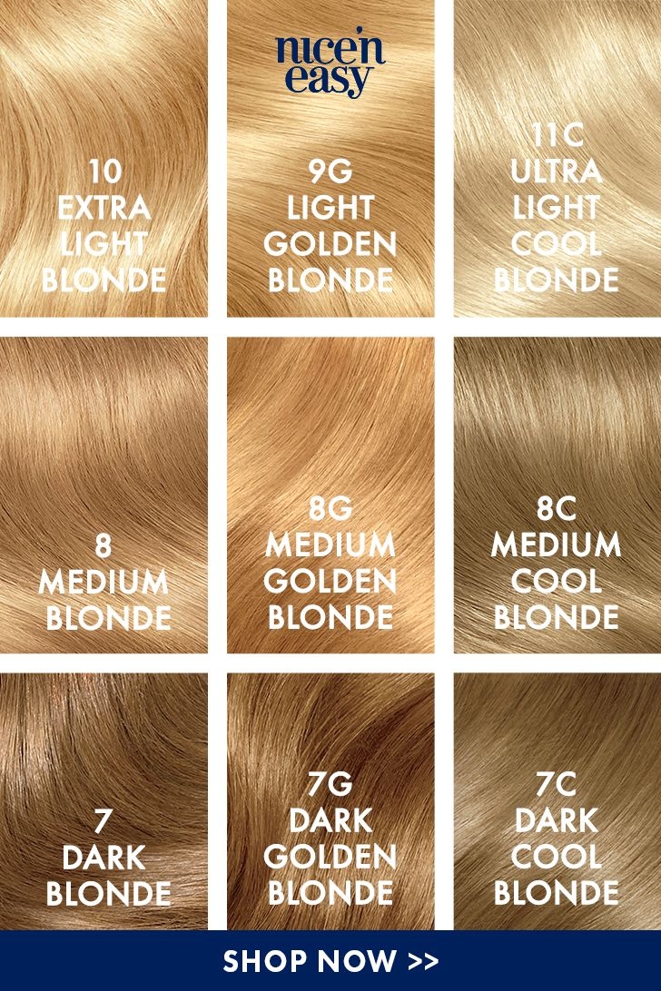 Dark Blonde Colour Chart Minimalist Chart Design
