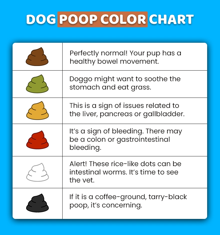 Decoding Dog s Health With Dog Poop Color Chart CanadaPetCare Blog