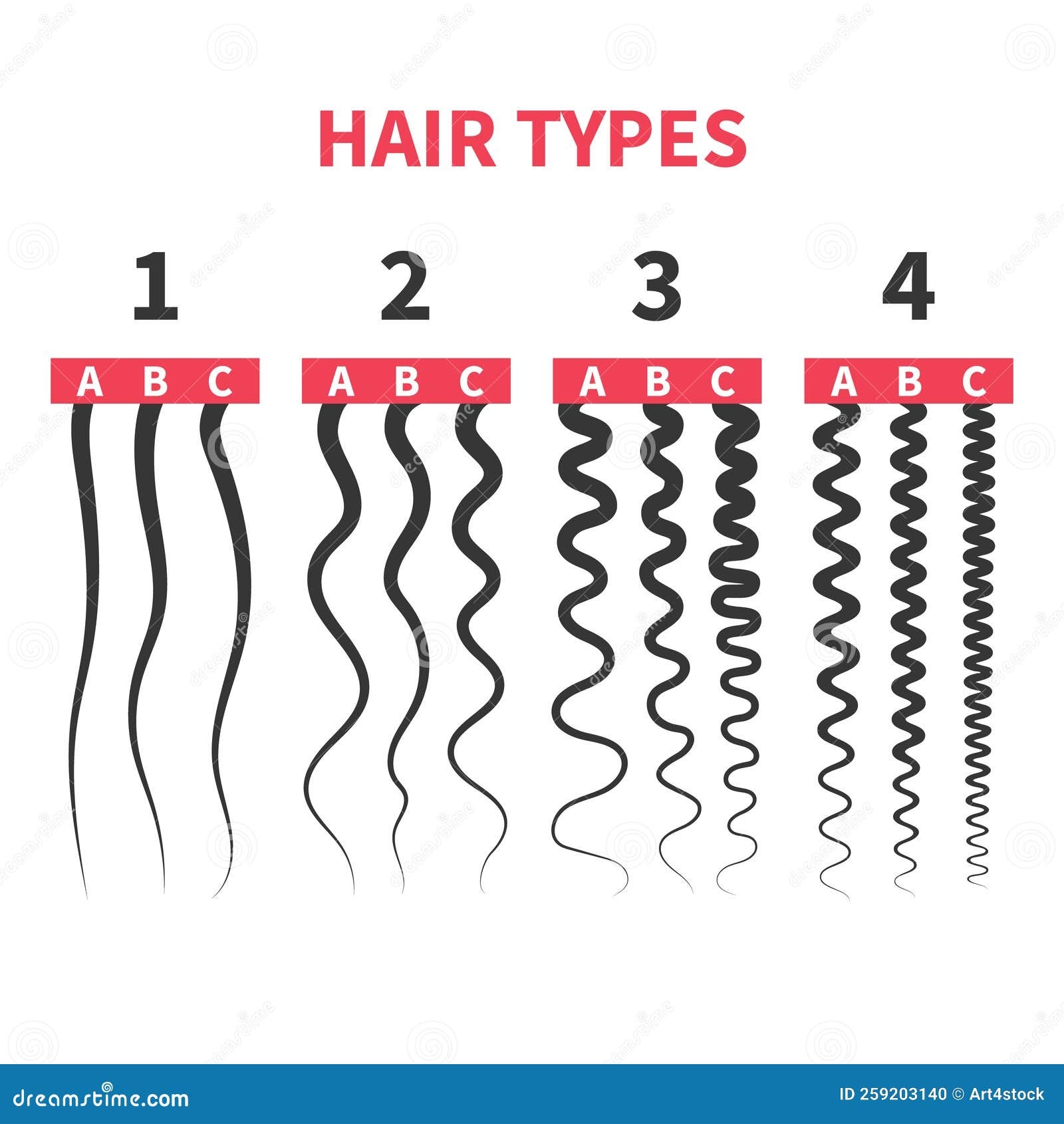 Detailed Hair Types Chart Set Of Strands Growth Patterns Stock Vector 