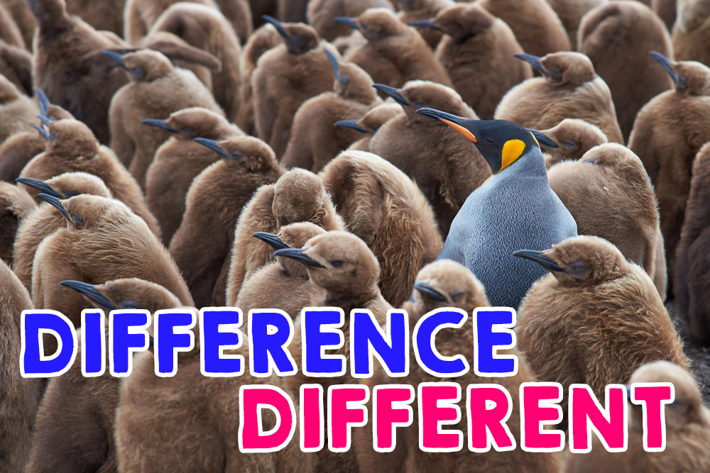  difference different 