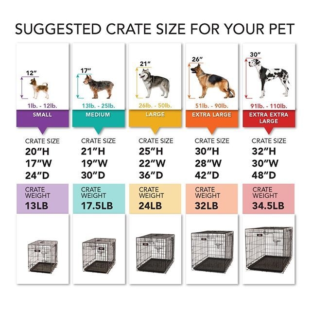 Dog Crate Sizes Chart Educational Chart Resources