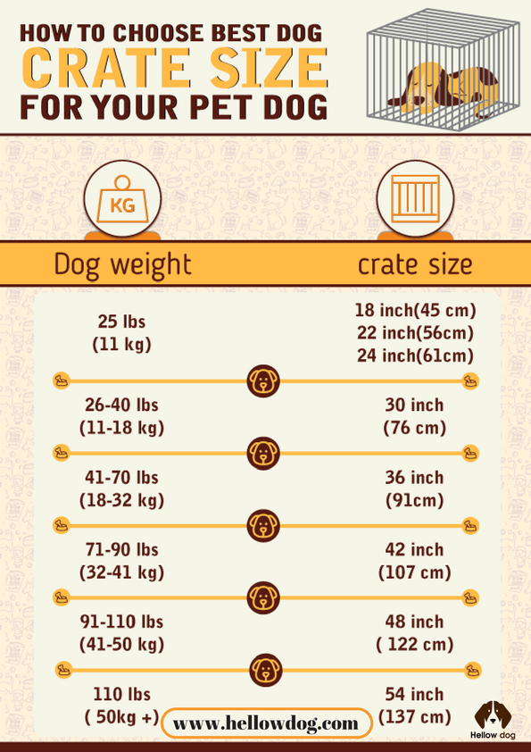 Dog Kennel Size Chart The Ultimate Small Medium And Large