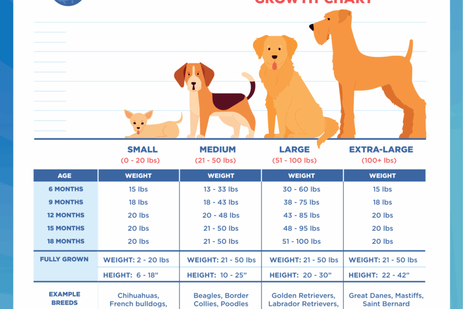 Dog or Puppy Growth Chart How Big Will Your Puppy Get Pet News Daily
